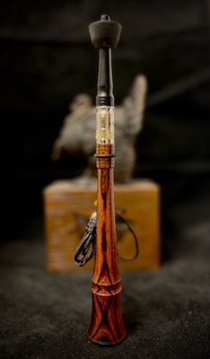 Desert Ironwood