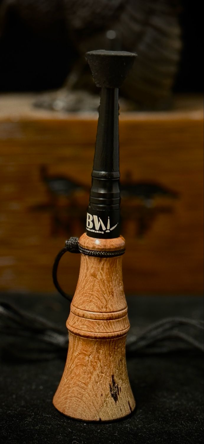 Spalted Oak