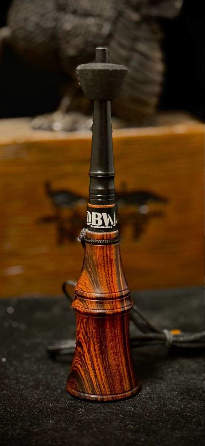Desert Ironwood