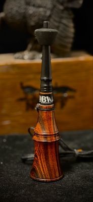 Desert Ironwood
