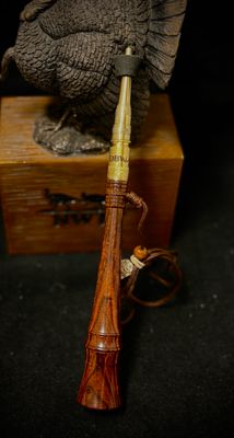Desert Ironwood