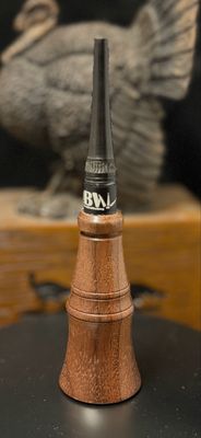 Walnut Mini