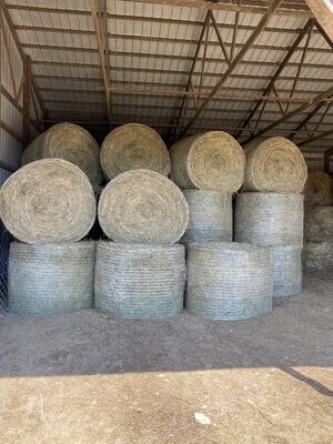 Premium alfalfa grass mix hay