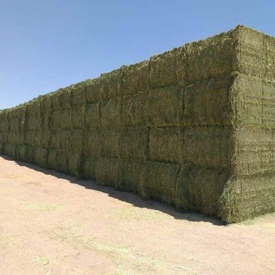 Square Bales
