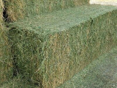 Square Bales