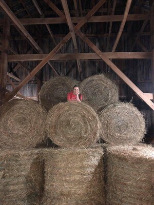 Premium alfalfa grass mix hay