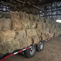 2nd Cut Round Bales of 5x5
