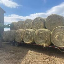 2nd Cut Round Bales of 5x5