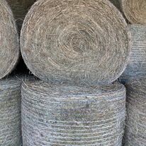 2nd cut Cattles Giant Round Bales