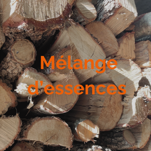 Bois de chauffage mélange (Stère)