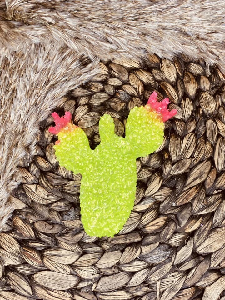 Prickly Pear Cactus