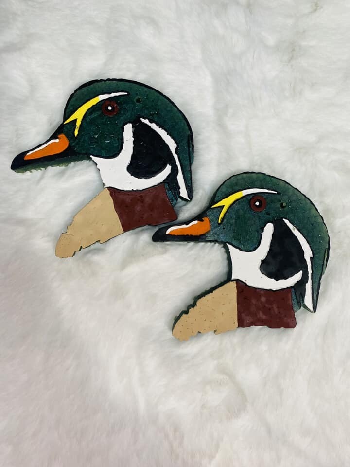 Wood Duck Head