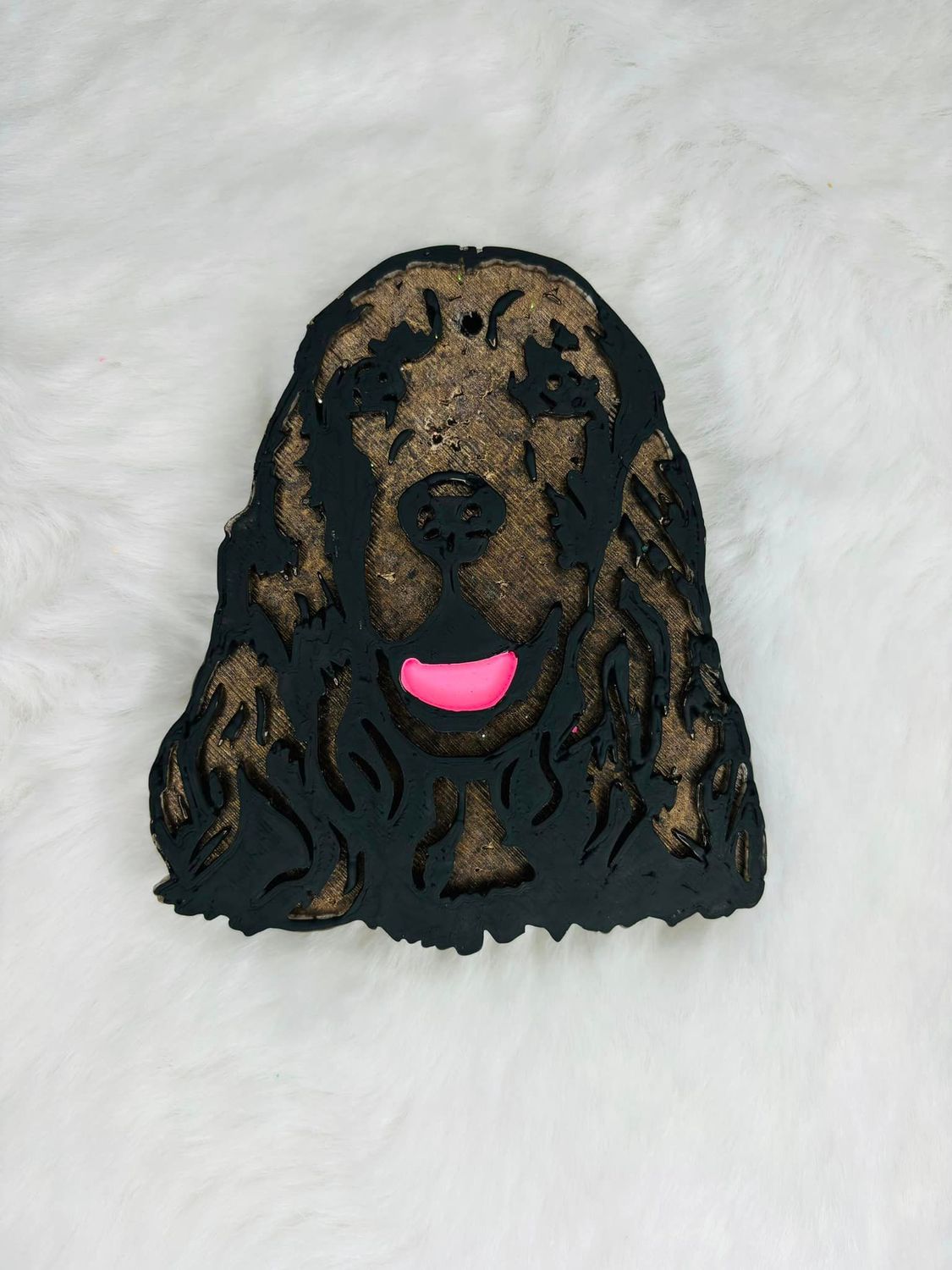Boykin/ spaniel