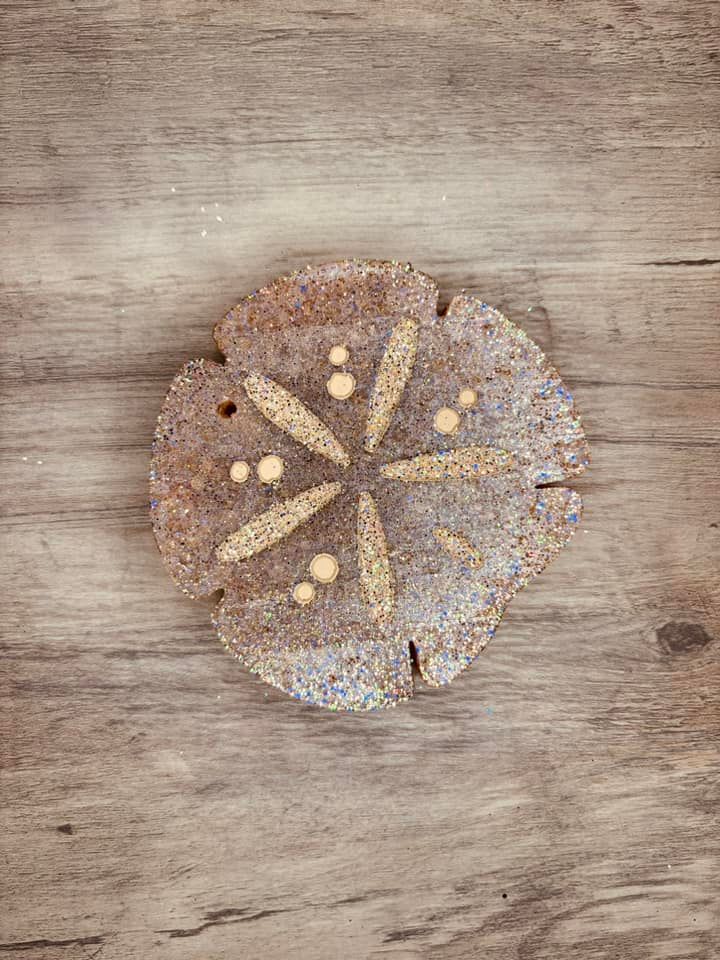 Sand Dollar