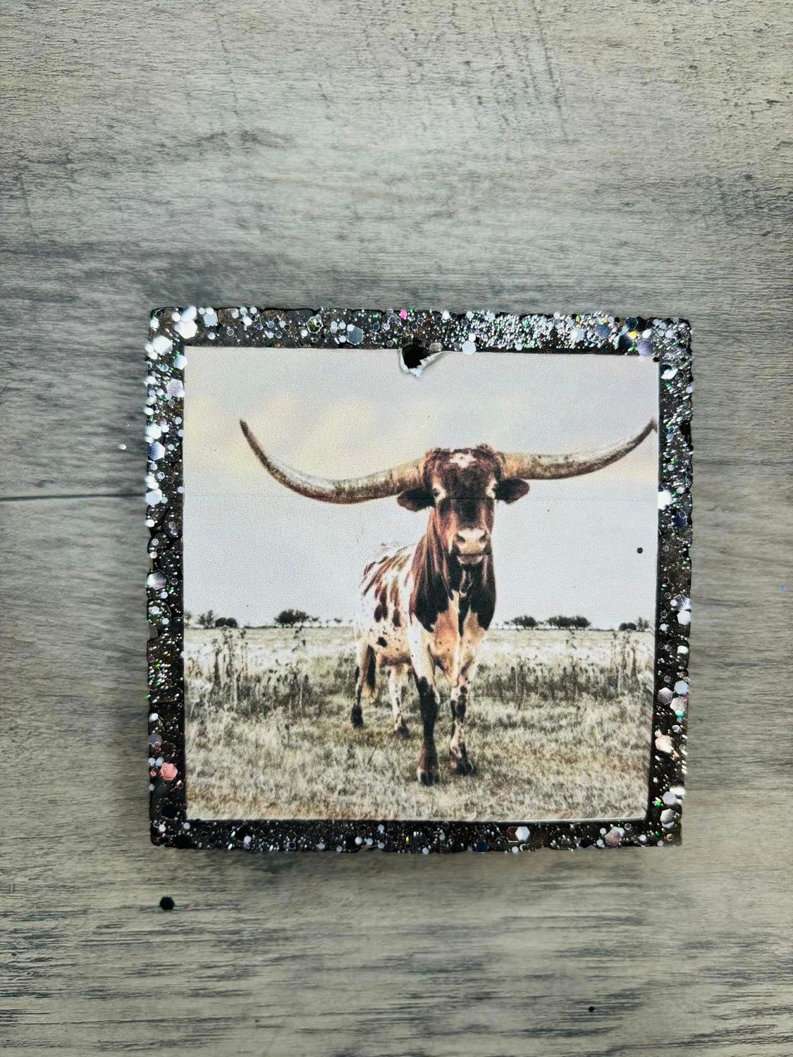 Longhorn square