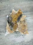 Cowhide Texas