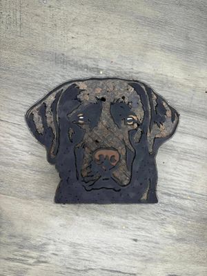 Lab