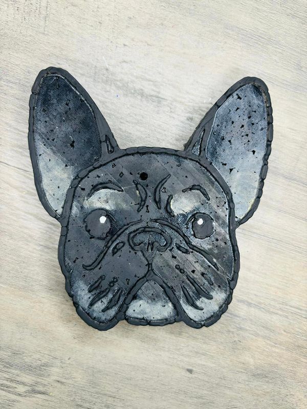 Frenchie/ French Bulldog