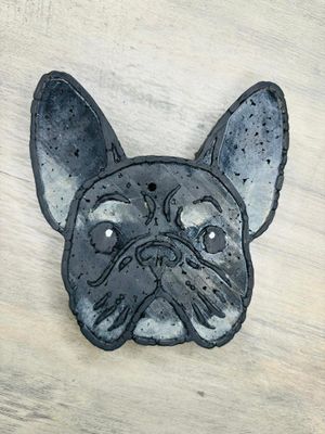 Frenchie/ French Bulldog