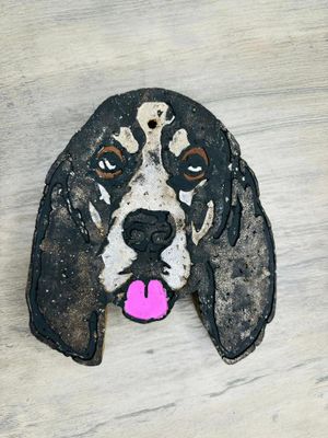 Coonhound/ hound dog