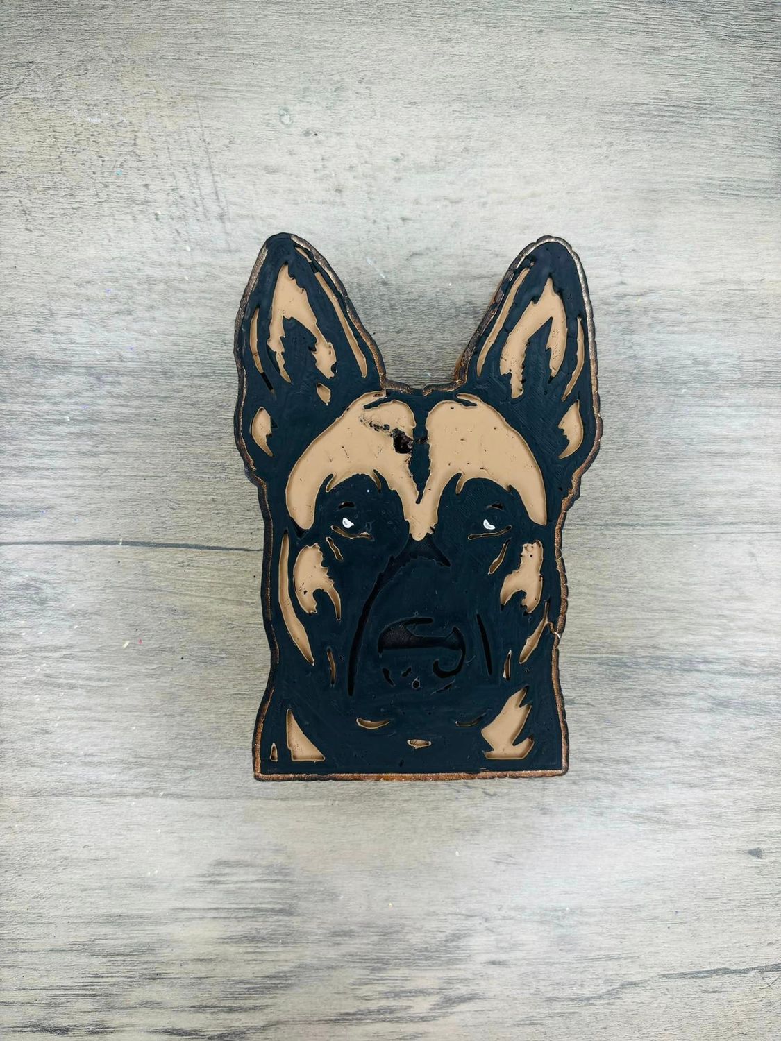 belgian malinois