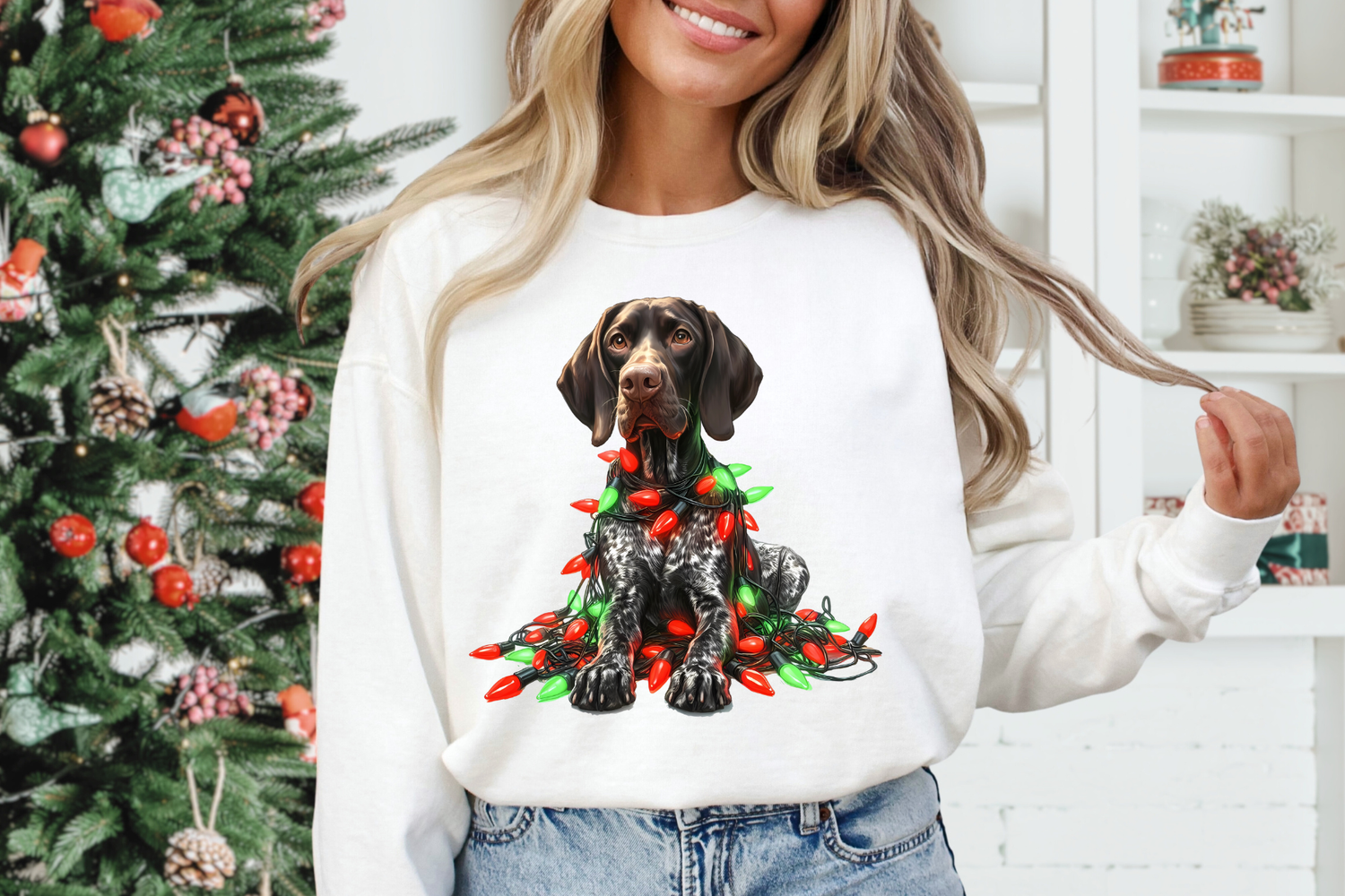 Pointer with Christmas lights