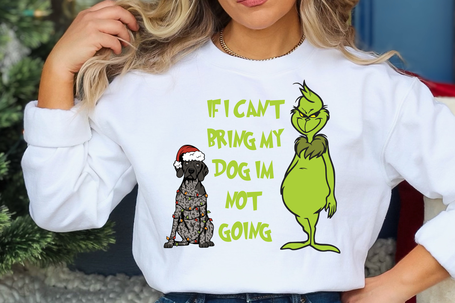 If i can&#39;t bring my dog i&#39;m not going!