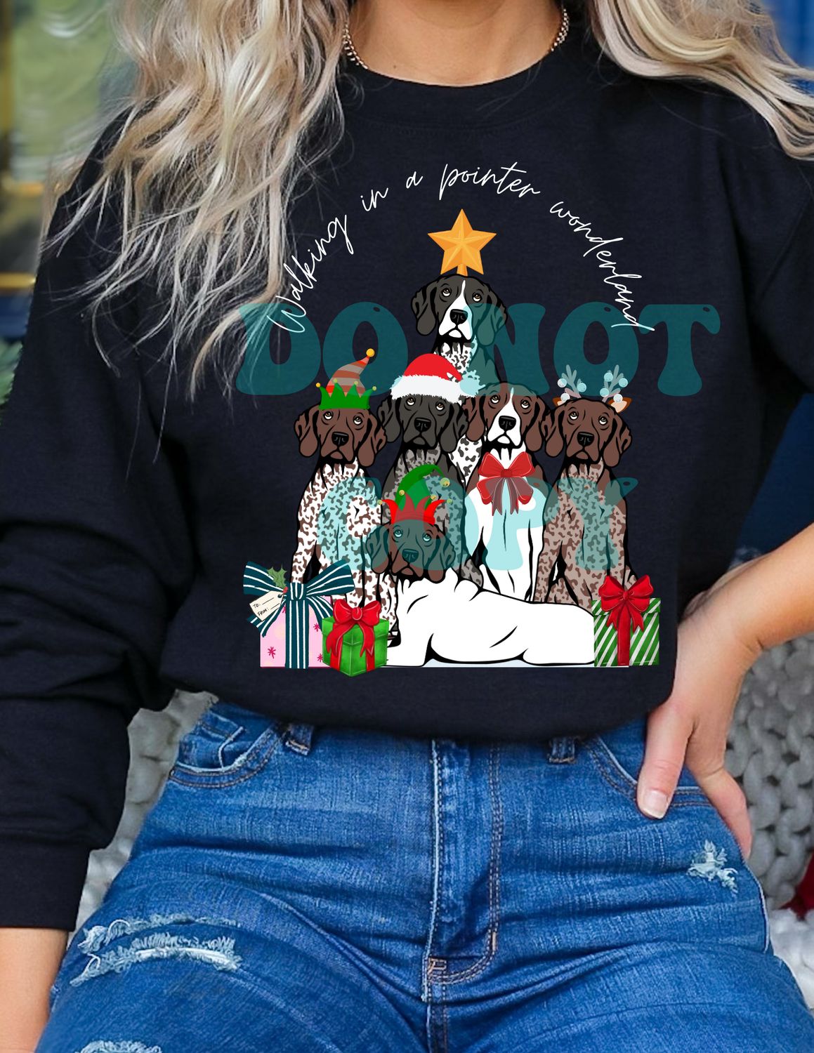 Walking in a pointer wondering