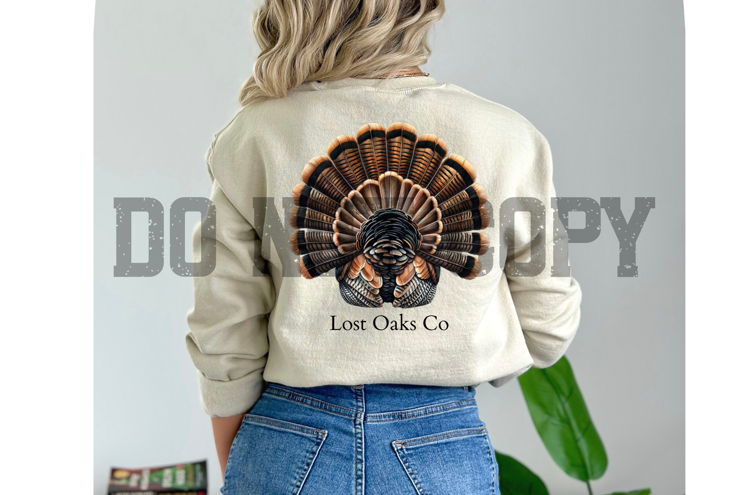 Turkey feathers