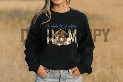 oh come lets adore him