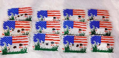 GSP American flag