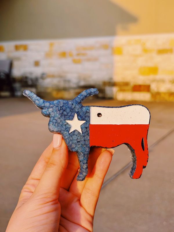 Texas flag longhorn