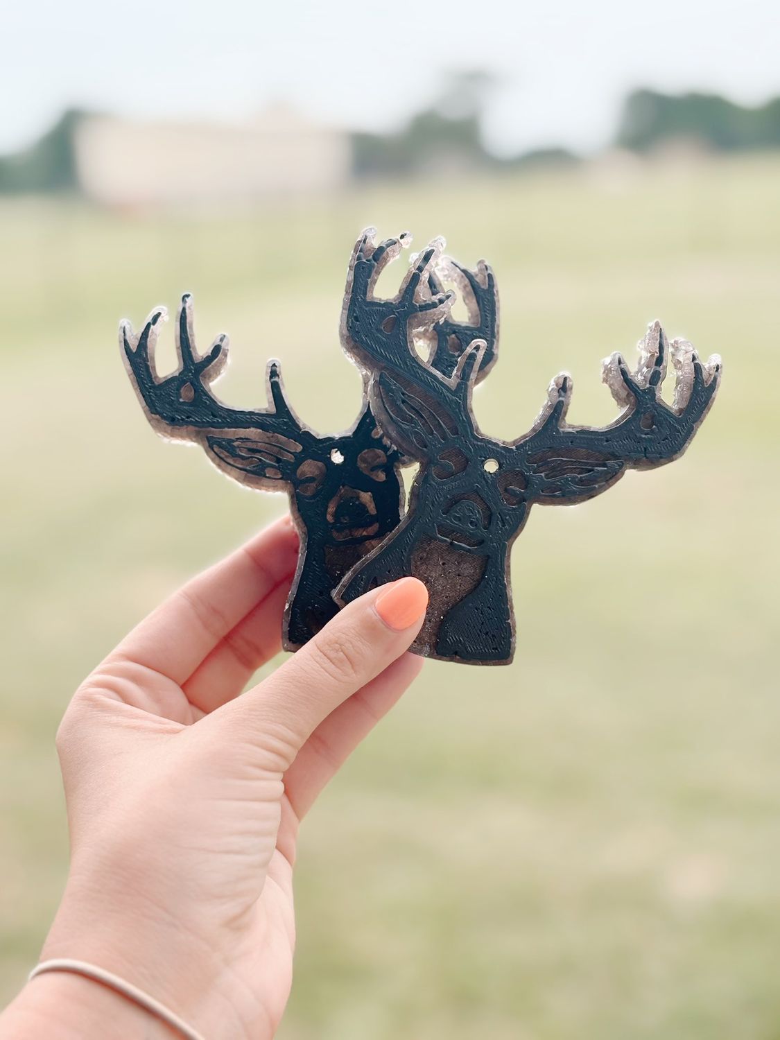 Deer head