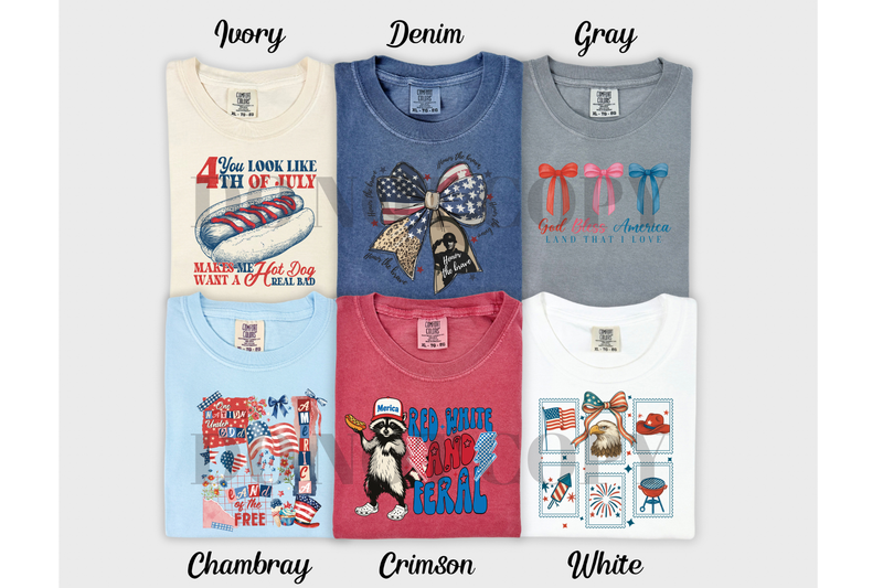 Mystery Patriotic Tee Grab bag