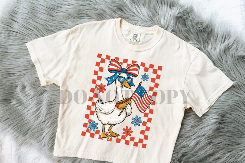 Boy or girl Patriotic goose