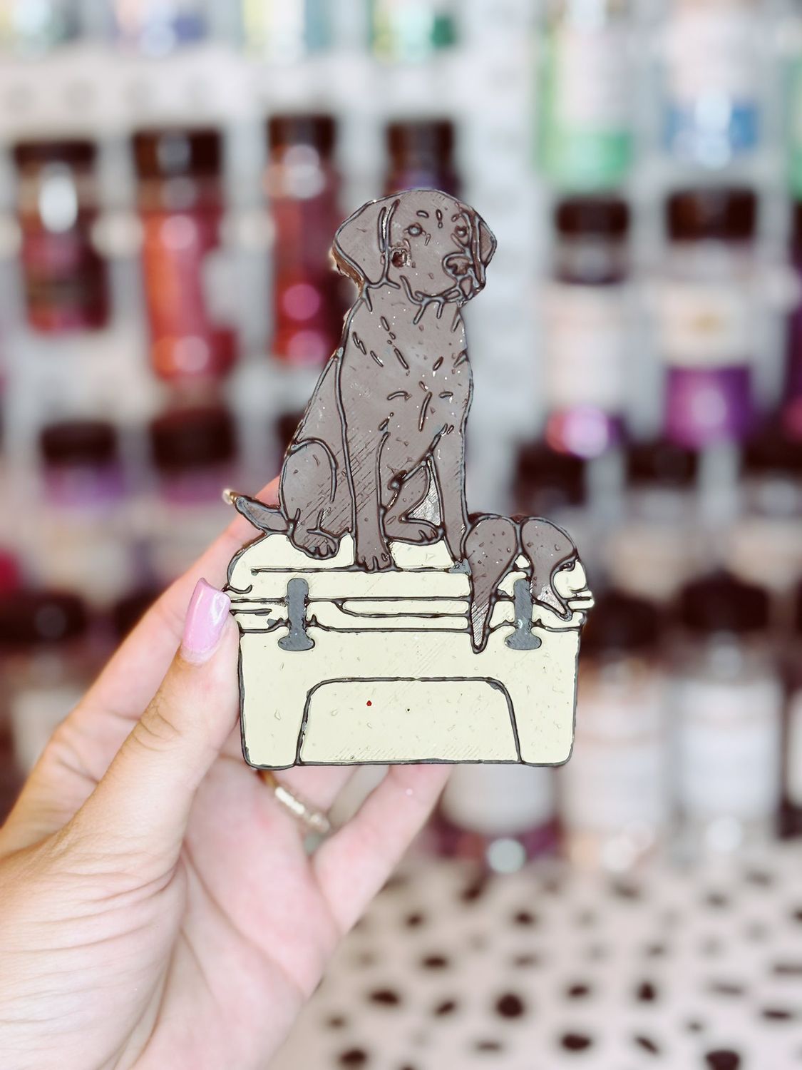 Dog on cooler