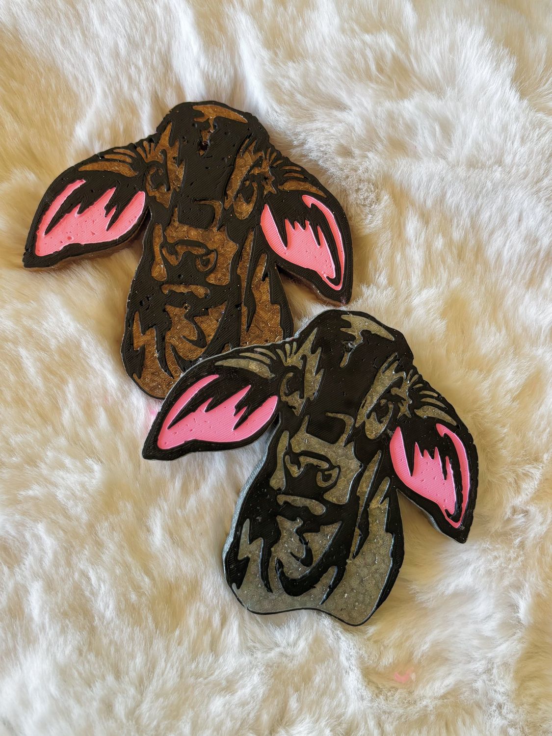 Baby Brahman Freshie