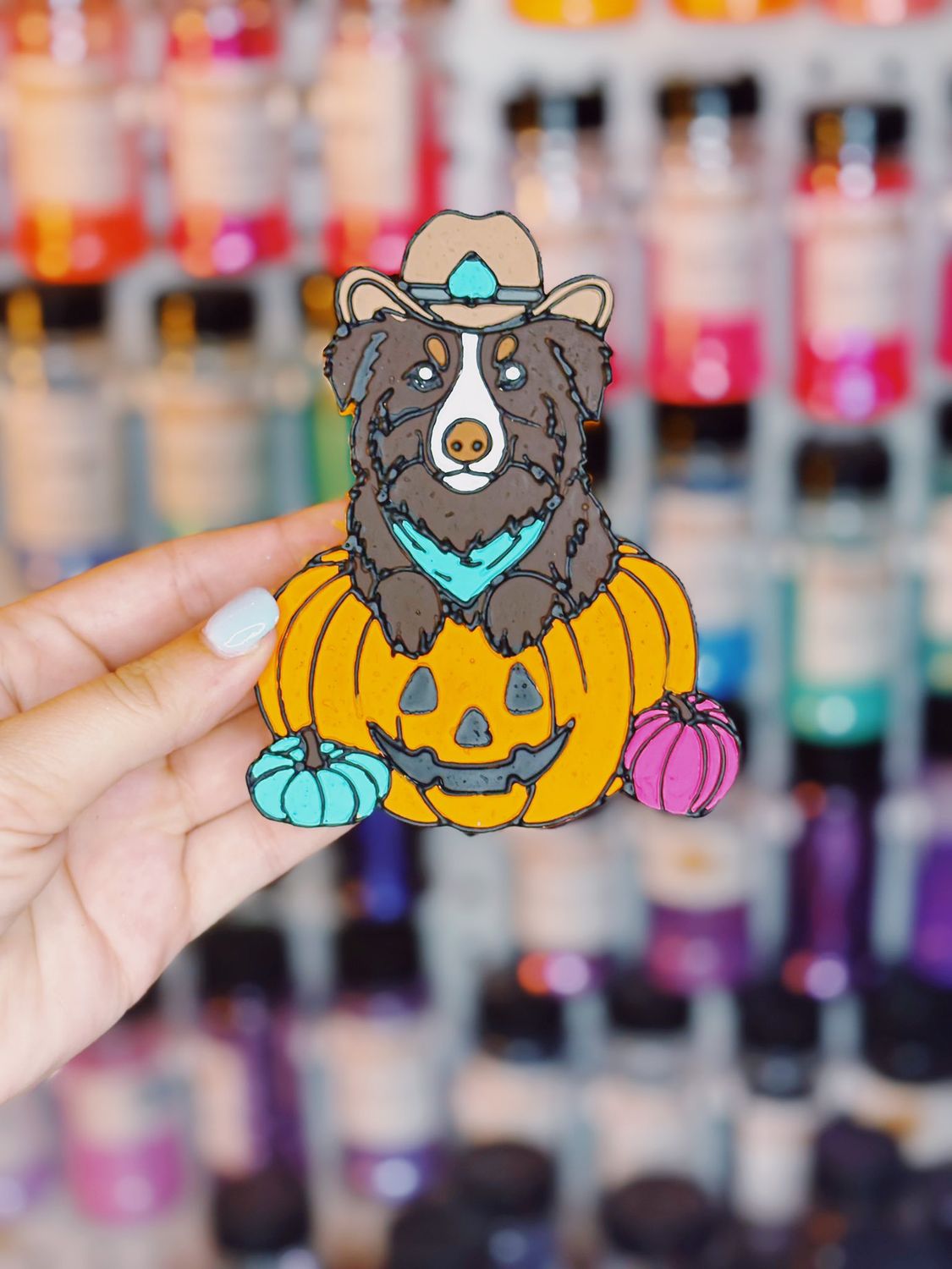 Aussie in pumpkin