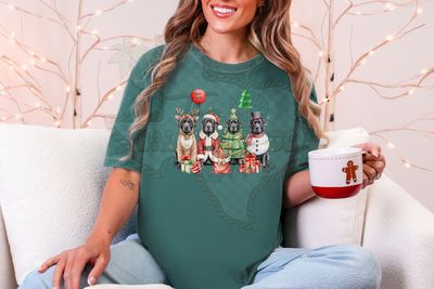 Christmas Black Labs