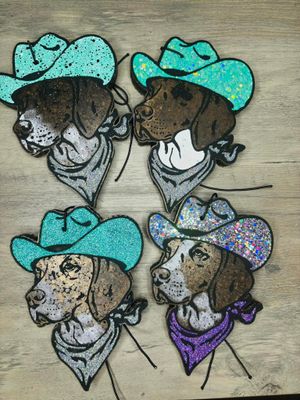GSP/ Weimaraner Cowboy dog
