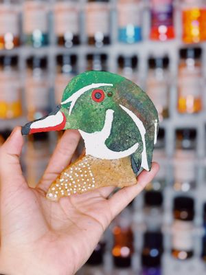 Wood Duck Head
