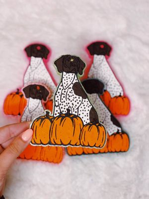 Fall GSP with pumpkins