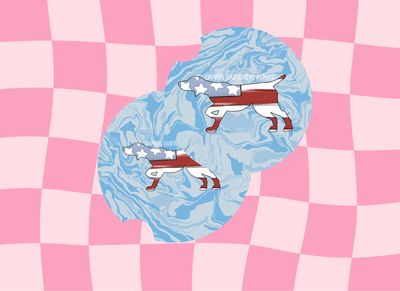 Car Coasters American GSP