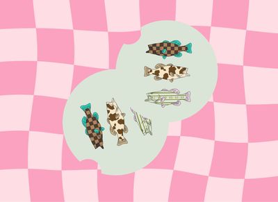 Car Coasters Preppy Fishing