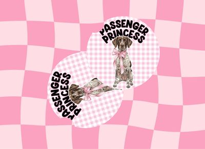 Car Coasters GSP Passenger Princess