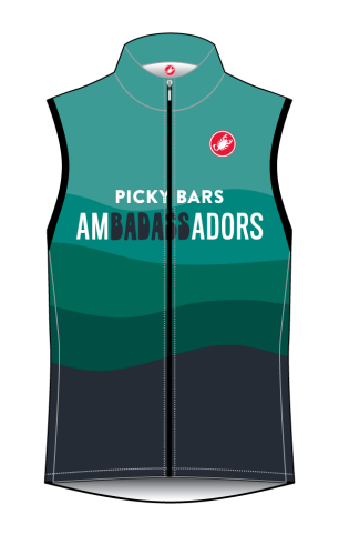 Men&#39;s Pro Light Wind Vest (2023) - Large