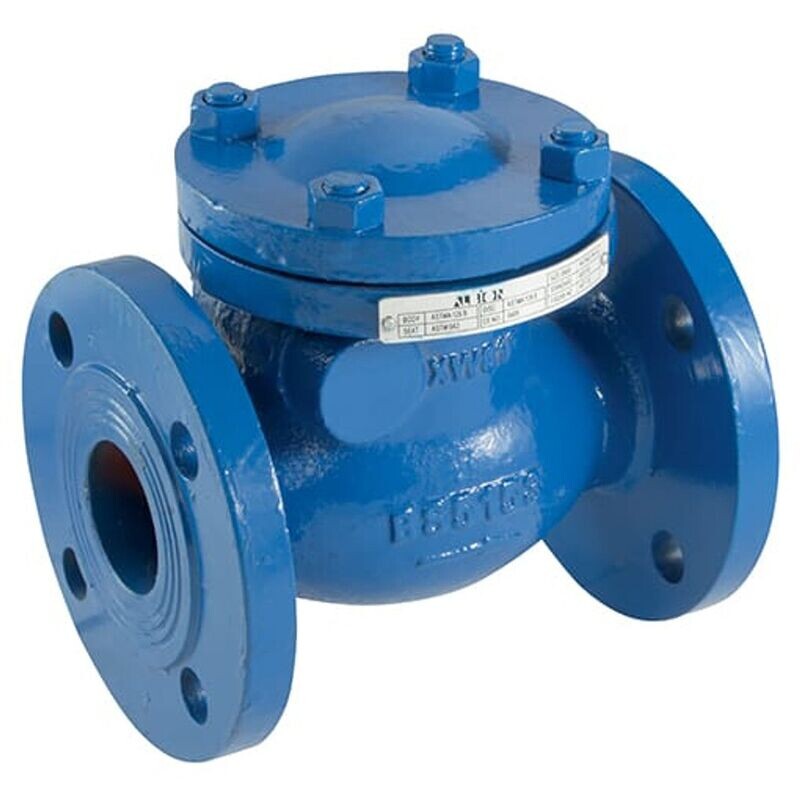 Cast Iron Swing Check Valve