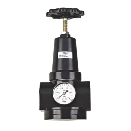 Titan AC9 Series Filter Regulator | 2'' Port Size G | 1/4" Gauge Thread G | 17500 Max Flow L/min | AR900-20