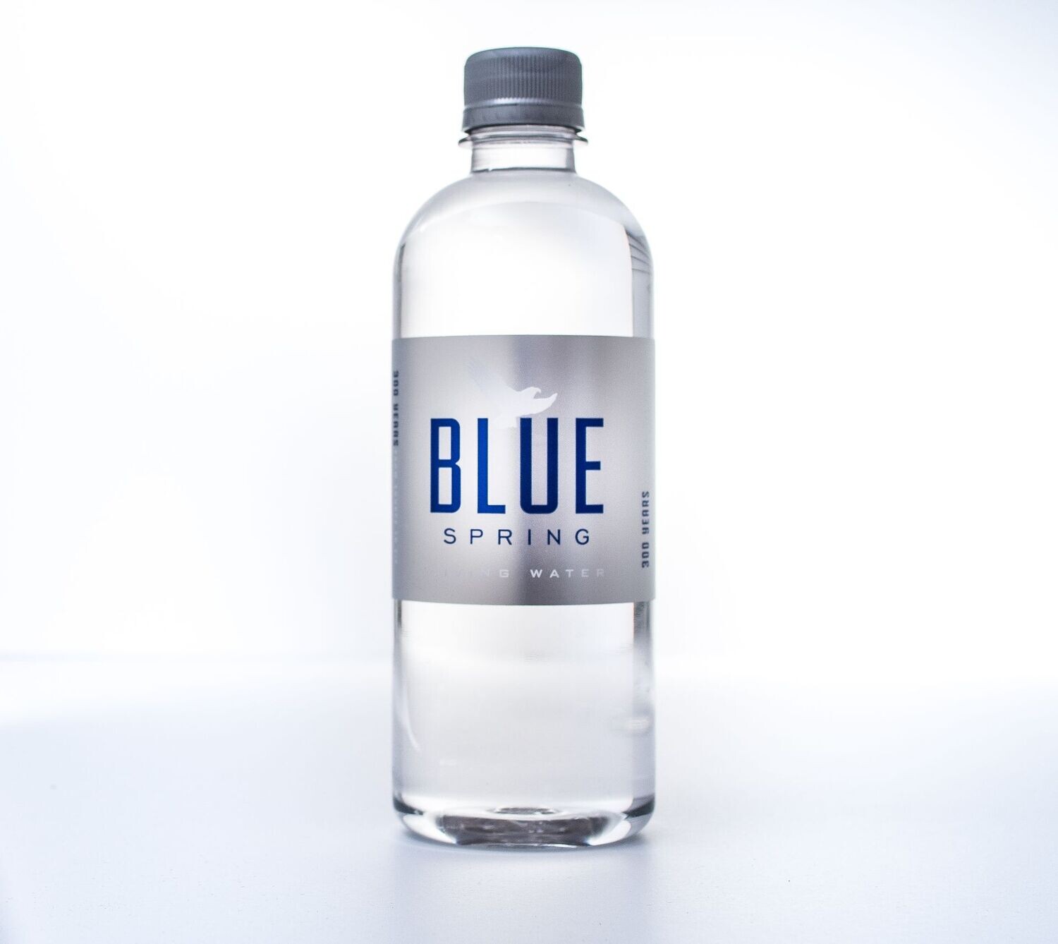 500ml 12-Pack Blue Spring Living Water