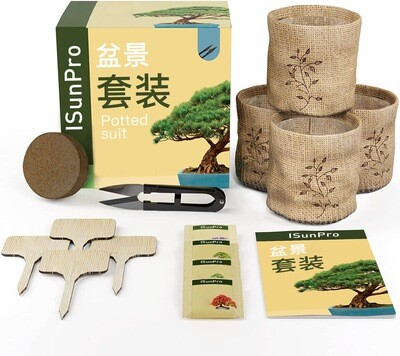 &quot;Unique DIY Bonsai Planting Kits: Perfect Adult Gardening Craft Gift&quot;